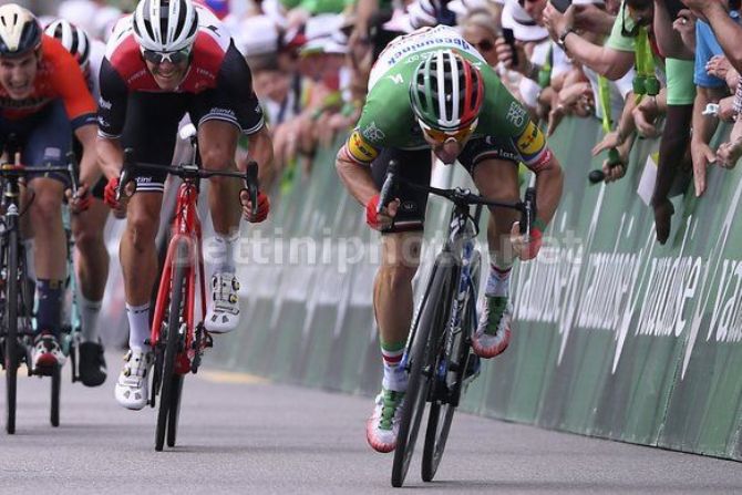 Elia Viviani a testa bassa conquista meritatamente una ricercata vittoria allo sprint (foto Bettini)